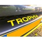 Megane Trophy Logo Calandre