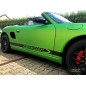 Porsche Boxster S Striping