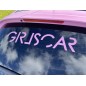 Adesivo per ragazze auto / Sticker