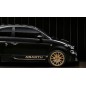 Adesivo porta abarth / adesivo